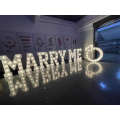 Marquee Light Letters LED Bulb Sign led lights 4FT marquee numbers bulb sign